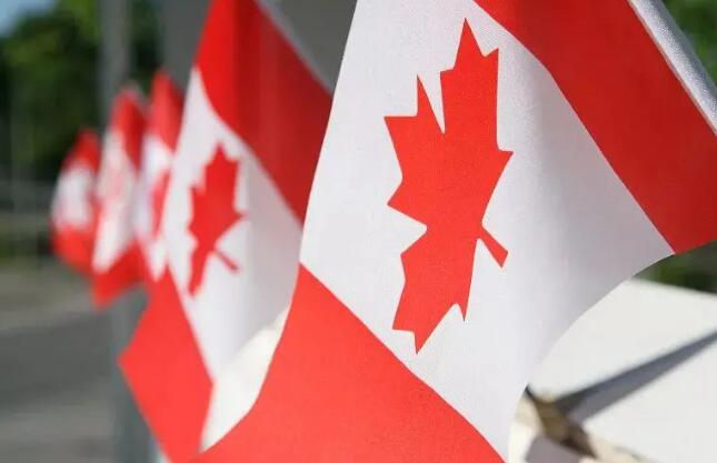 干货 | 加拿大移民身份，可享有哪些福利？