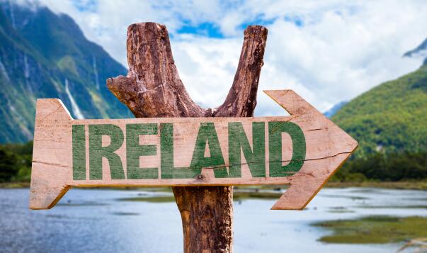 拥有一个爱尔兰身份，能享受哪些教育优势？